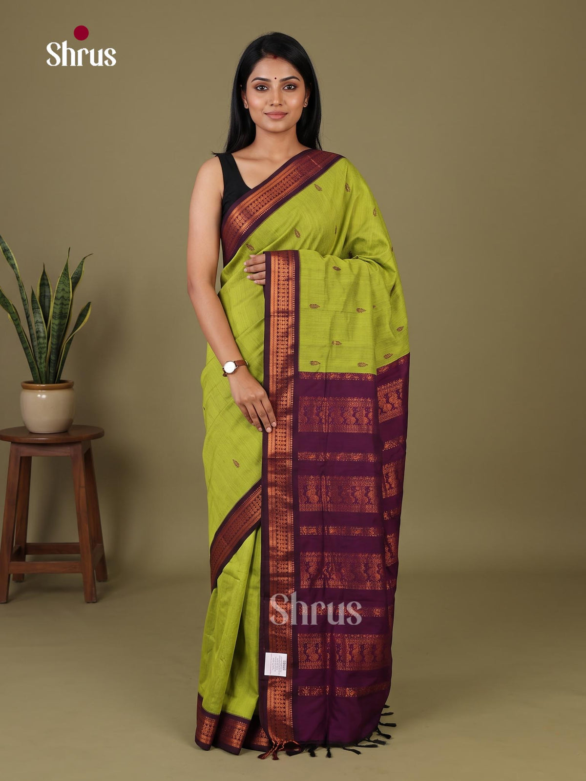 Kalyani Cotton Saree - EJ04132