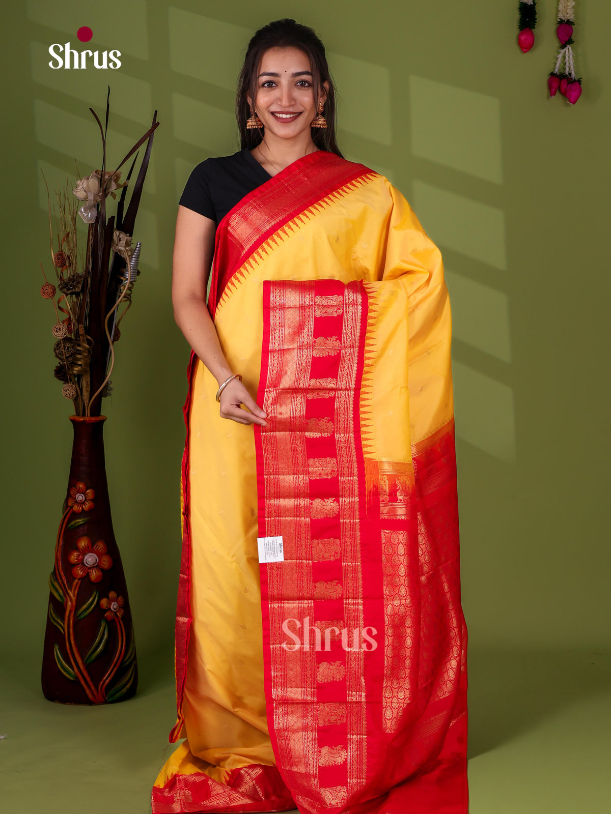 Semi Paithani Saree - EJ04371