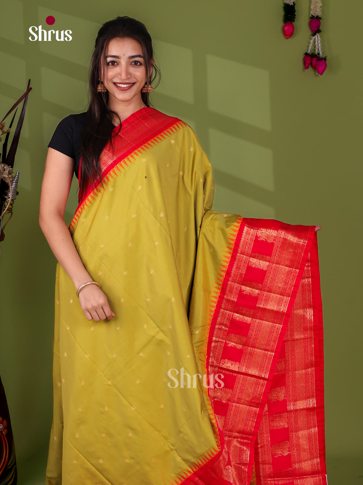 Semi Paithani Saree - EJ04379