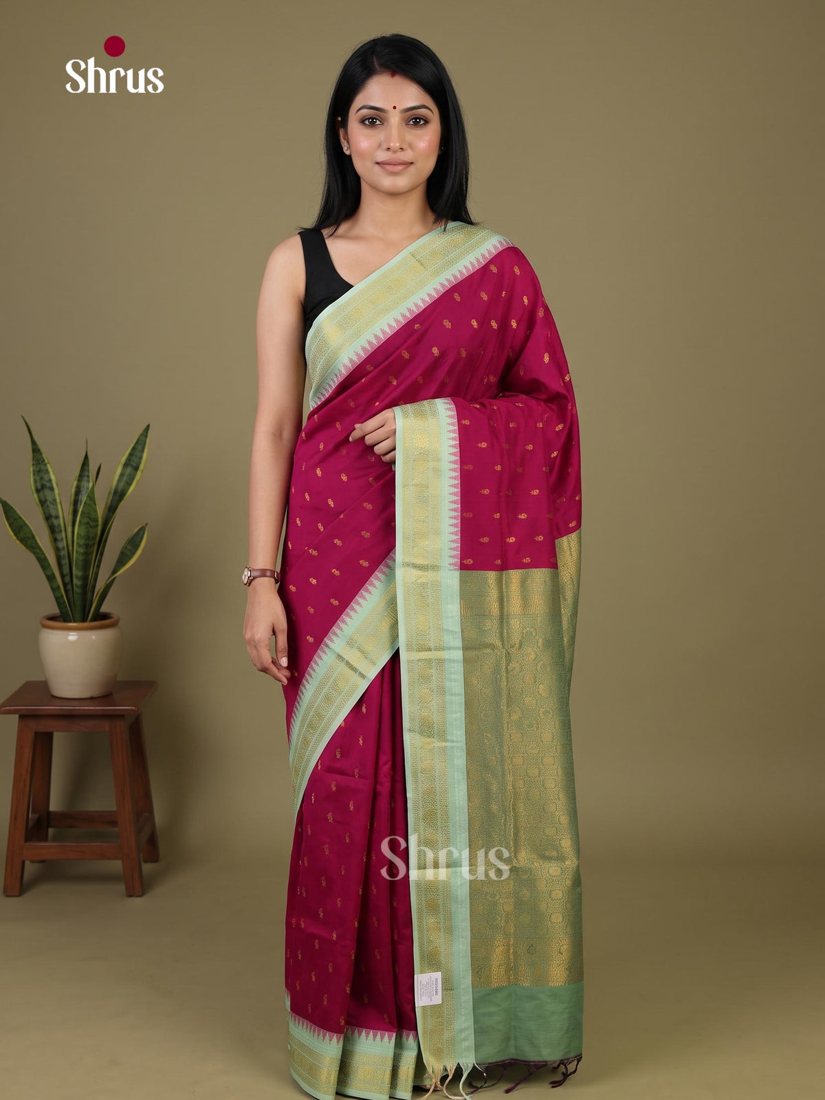 Kalyani Cotton Saree - EJ08366