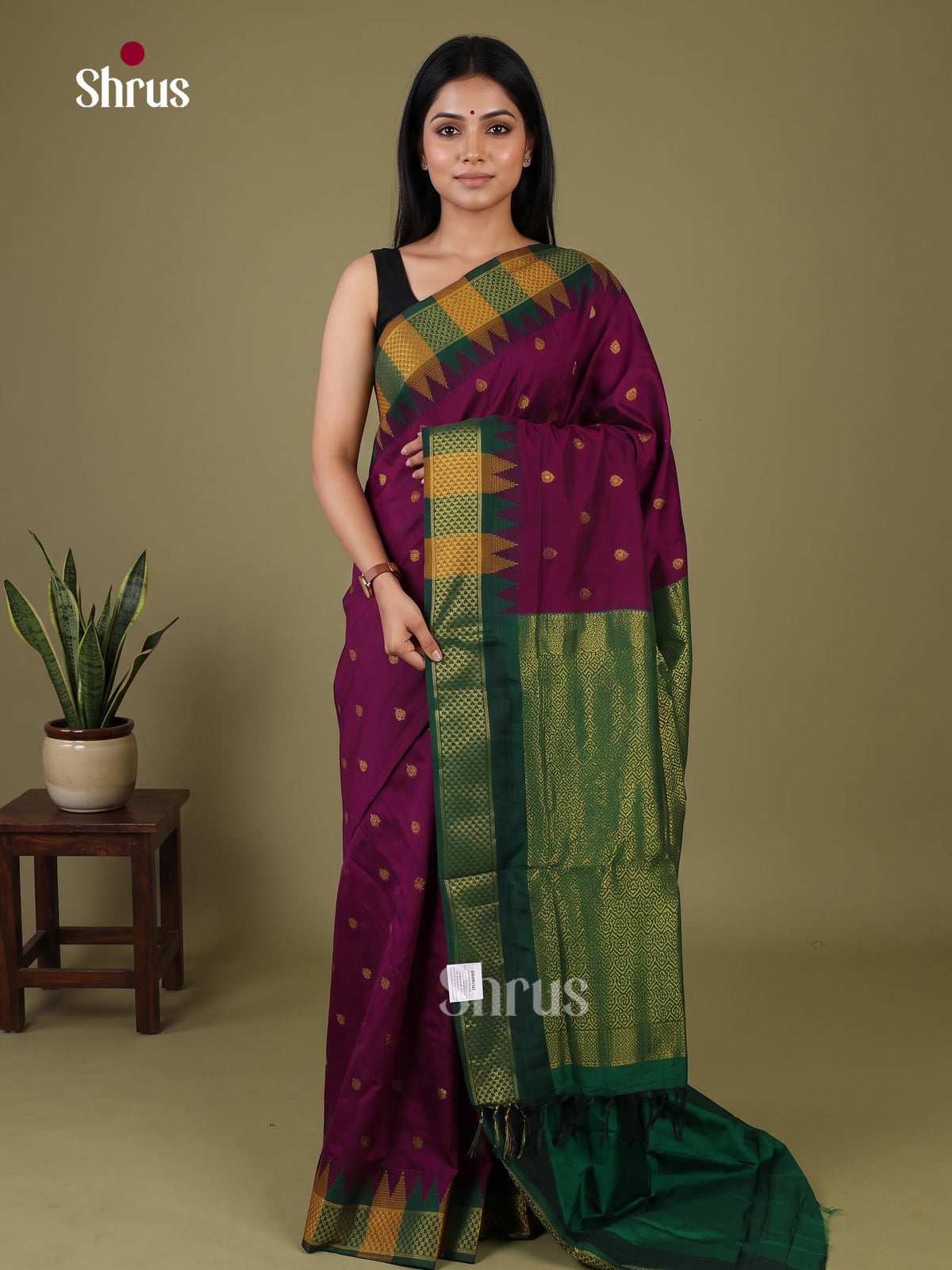 Kalyani Cotton Saree - EJ08441