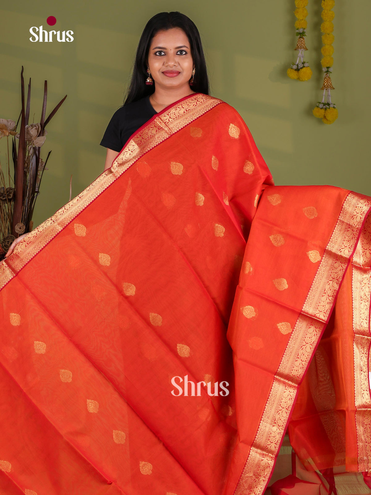 Silk Cotton Saree - EJ08572