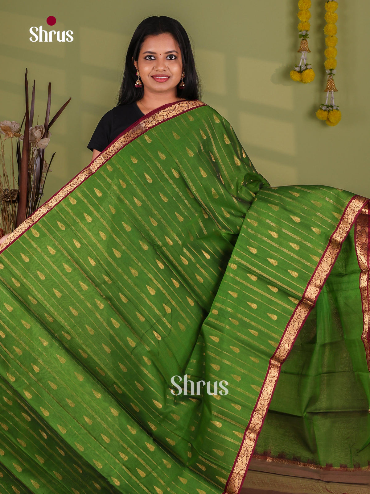 Silk Cotton Saree - EJ08577