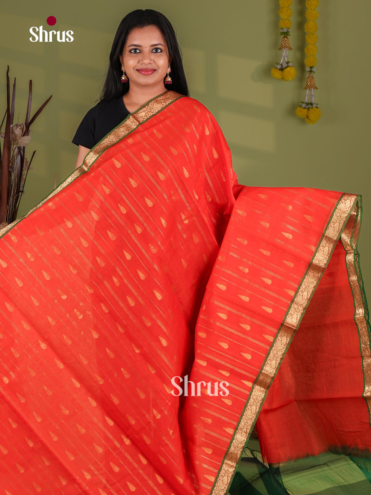 Silk Cotton Saree - EJ08580