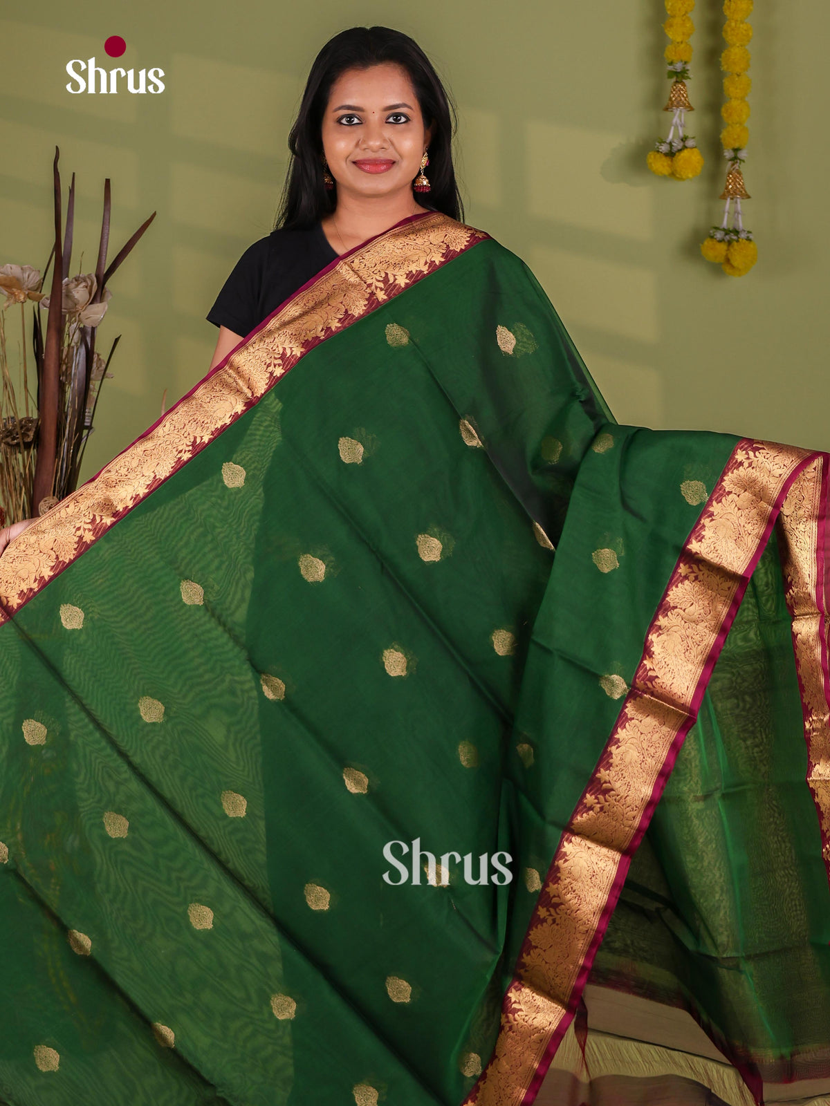 Silk Cotton Saree - EJ08586