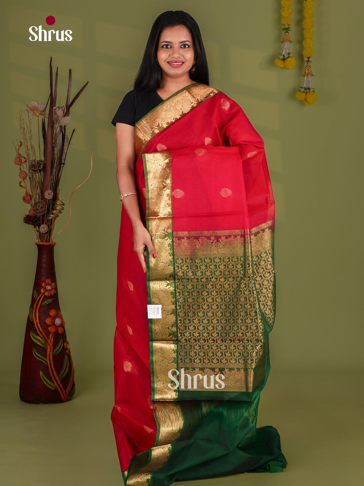 Silk Cotton Saree - EJ08587