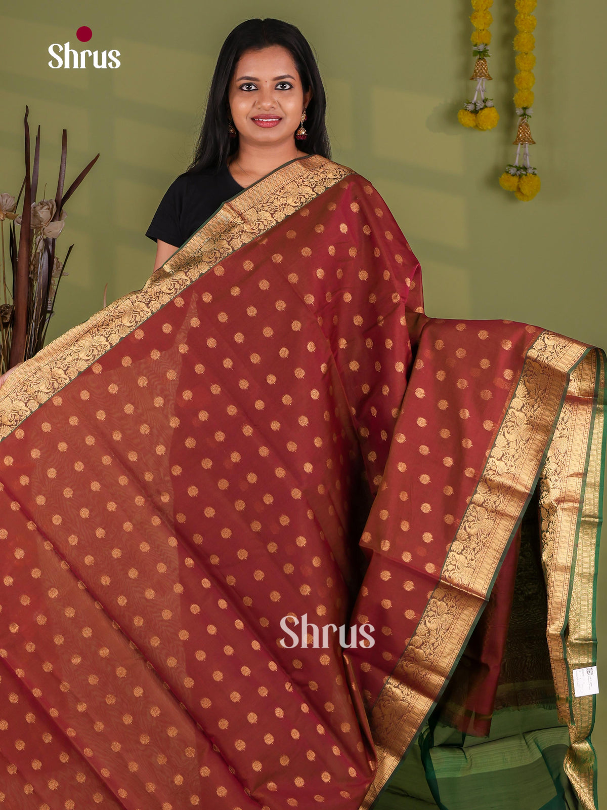 Silk Cotton Saree - EJ08591