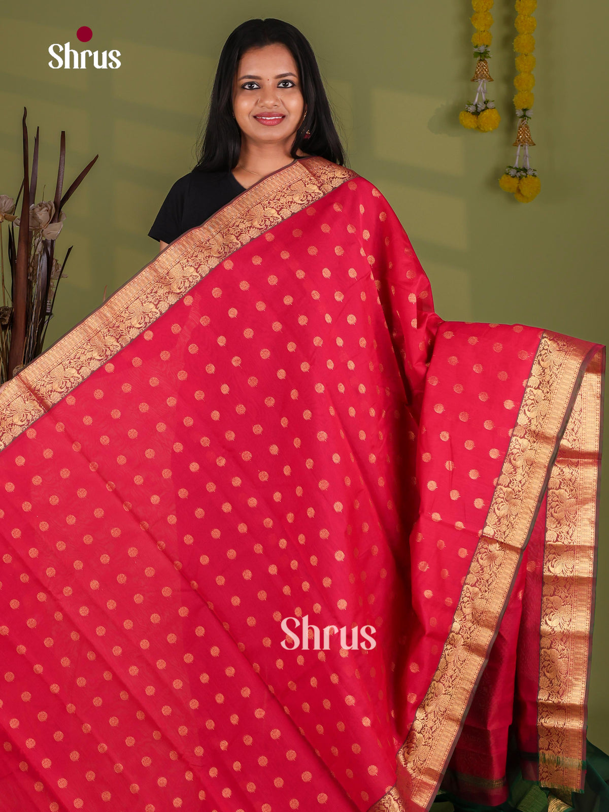 Silk Cotton Saree - EJ08596