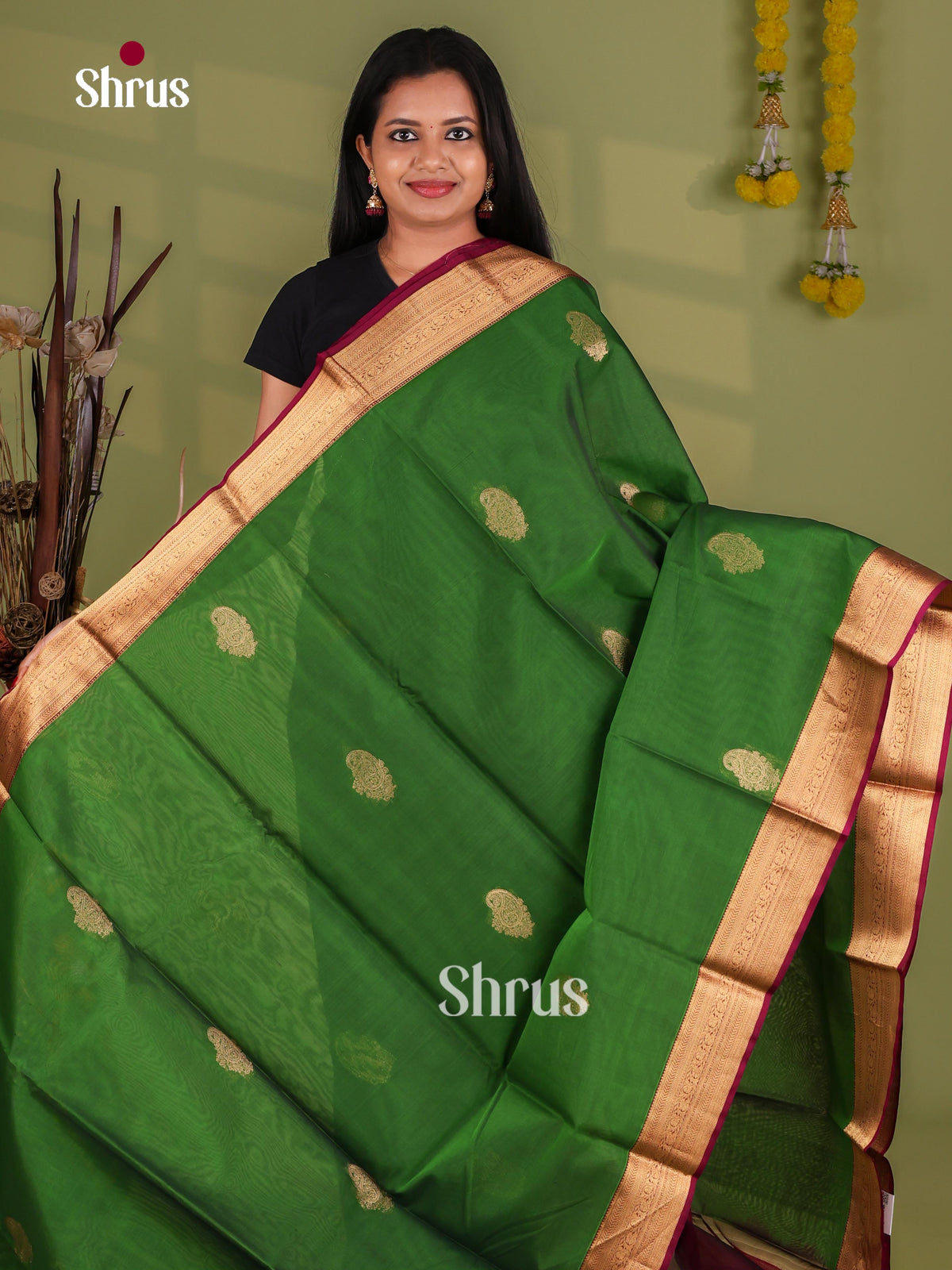 Silk Cotton Saree - EJ08598