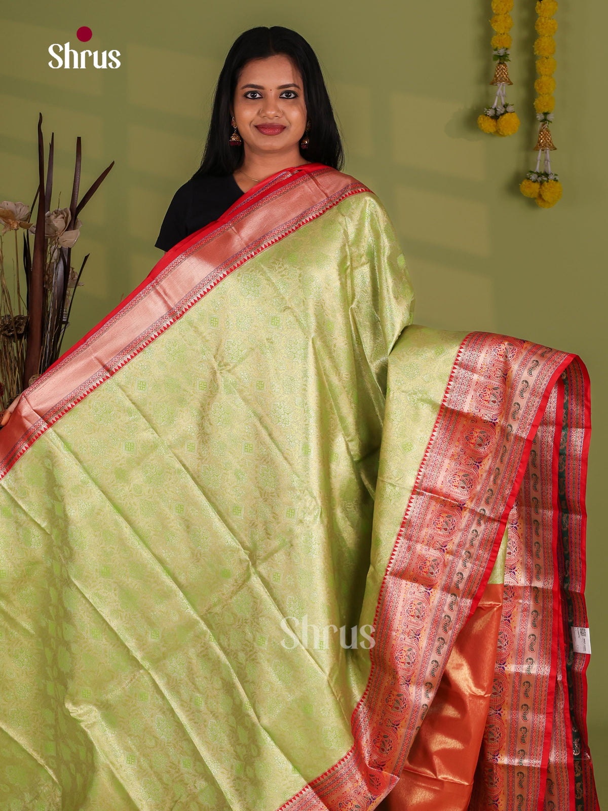 Kanchipuram-halfpure Saree - EJ09079