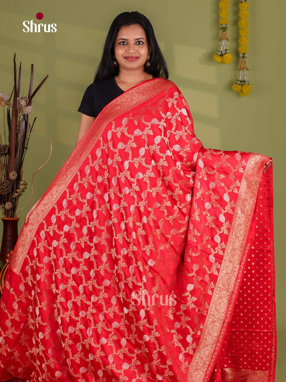 Banarasi Saree - EJ10551