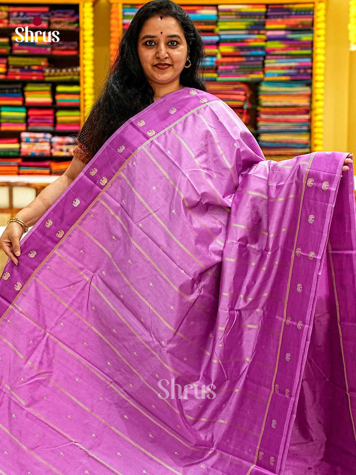 Apoorva Silk Saree - EJ11704