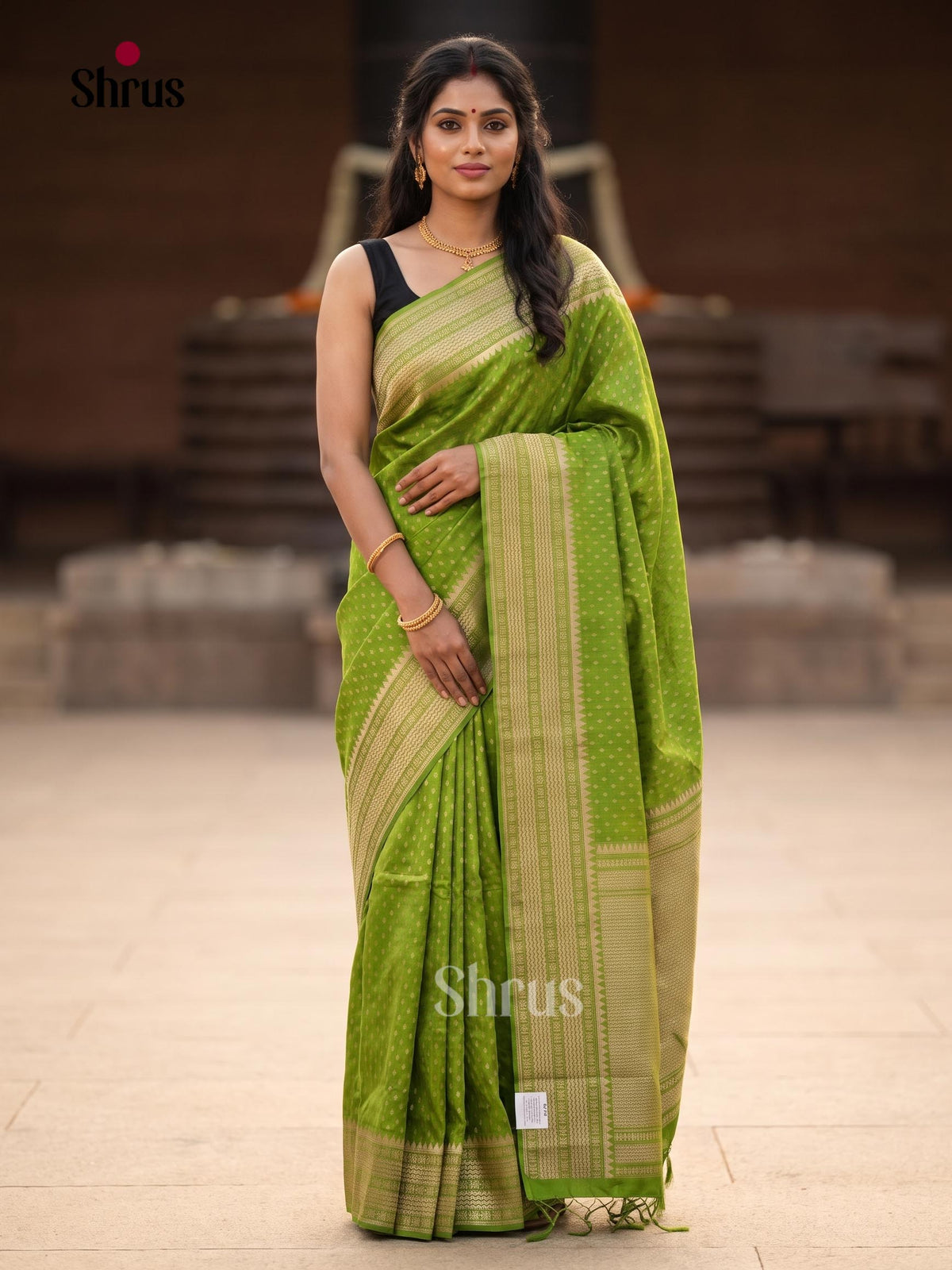 Jute Banaras Saree - EJ11825