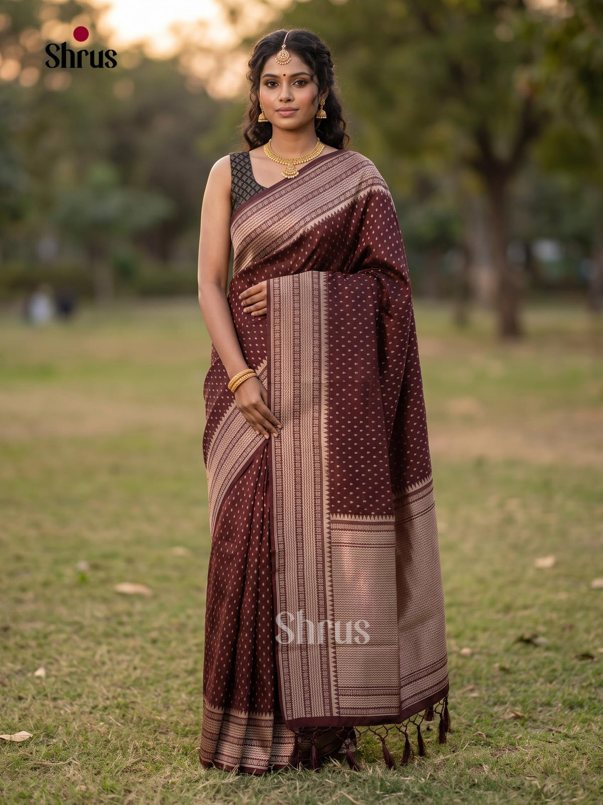 Jute Banaras Saree - EJ11832