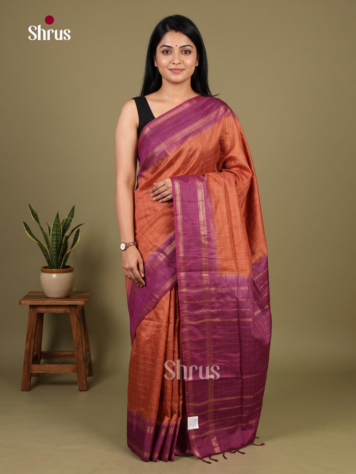 Zari Semi Tussar Saree - EJ12037