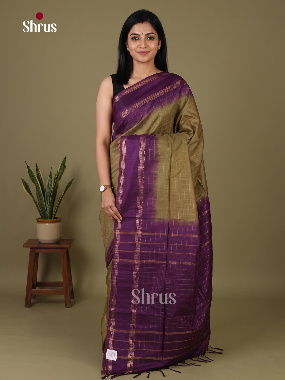 Zari Semi Tussar Saree - EJ12039