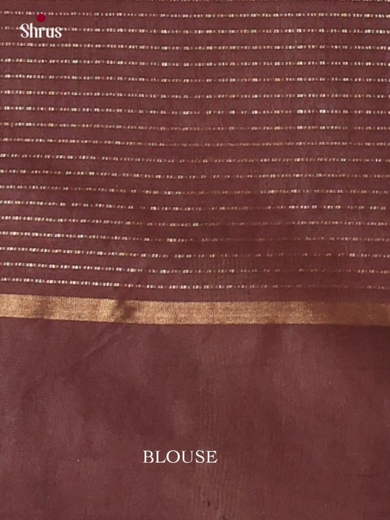 Zari Semi Tussar Saree - EJ12045