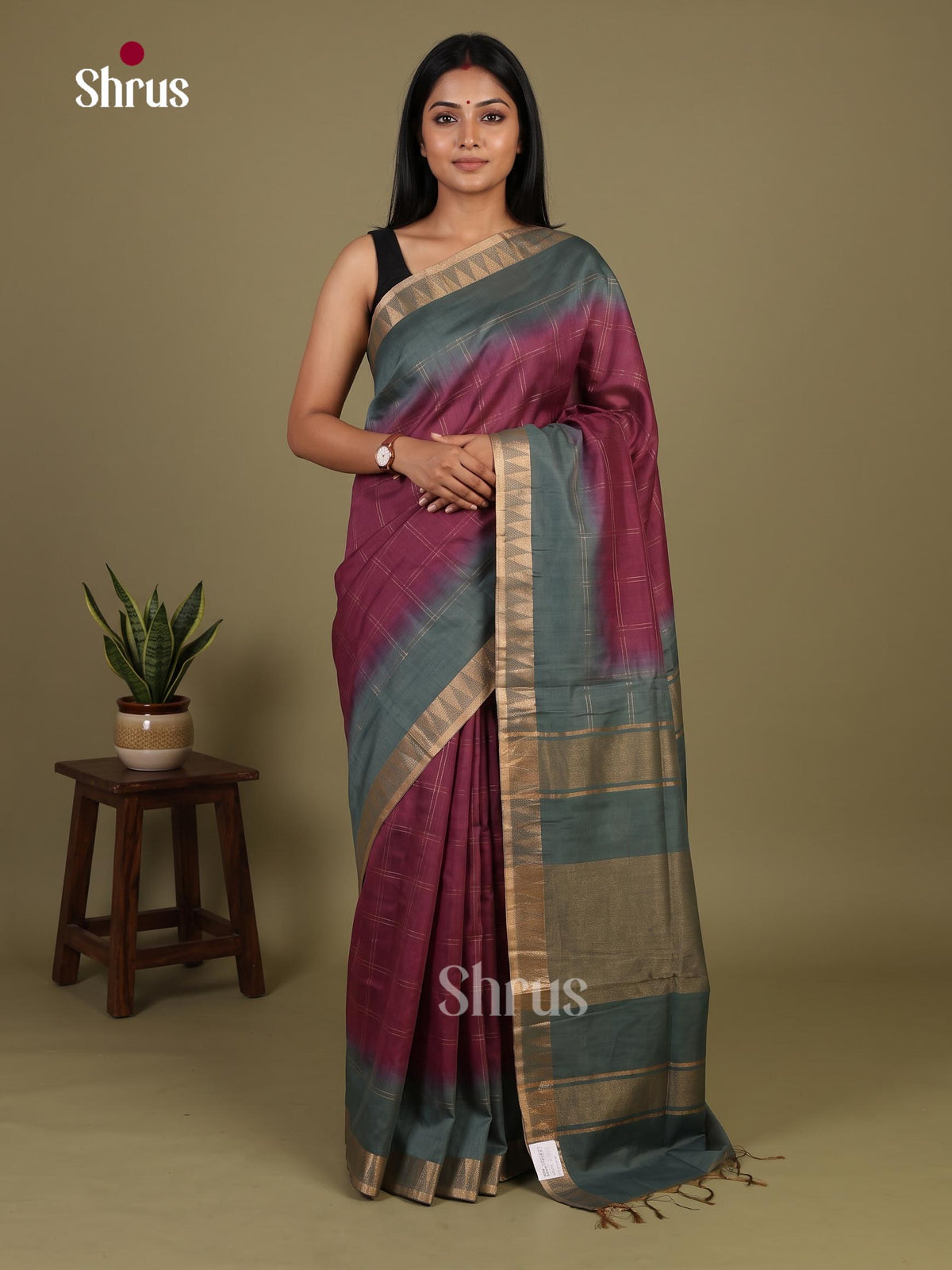 Zari Semi Tussar Saree - EJ12049