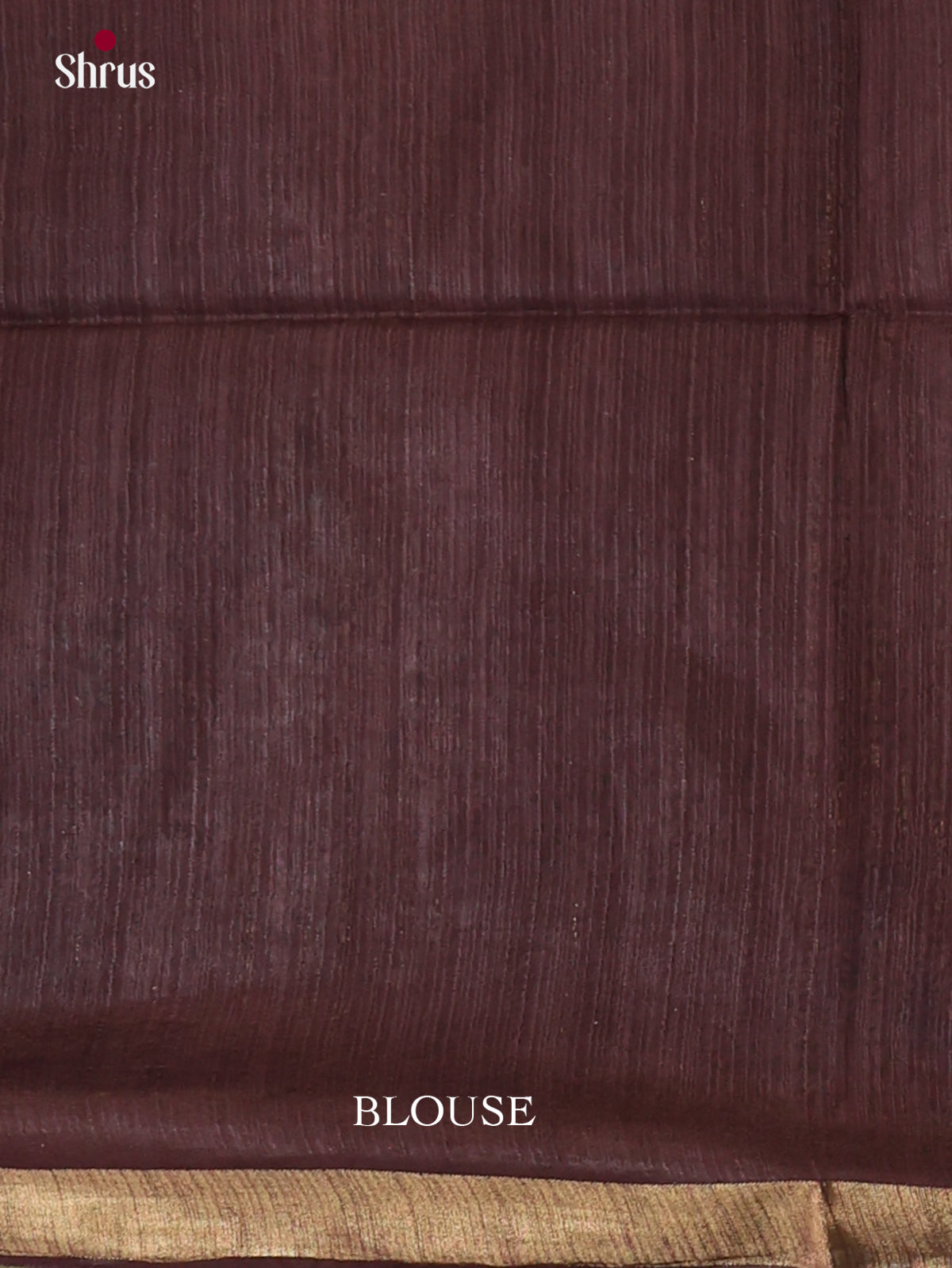 Zari Semi Tussar Saree - EJ13318