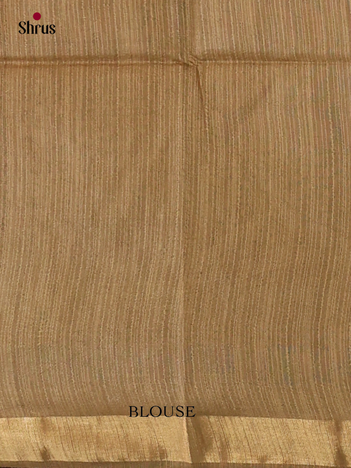Zari Semi Tussar Saree - EJ13320