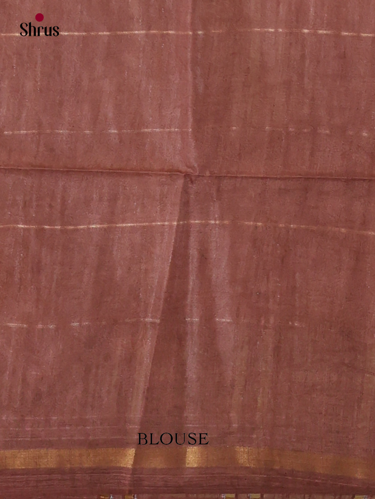 Zari Semi Tussar Saree - EJ13457