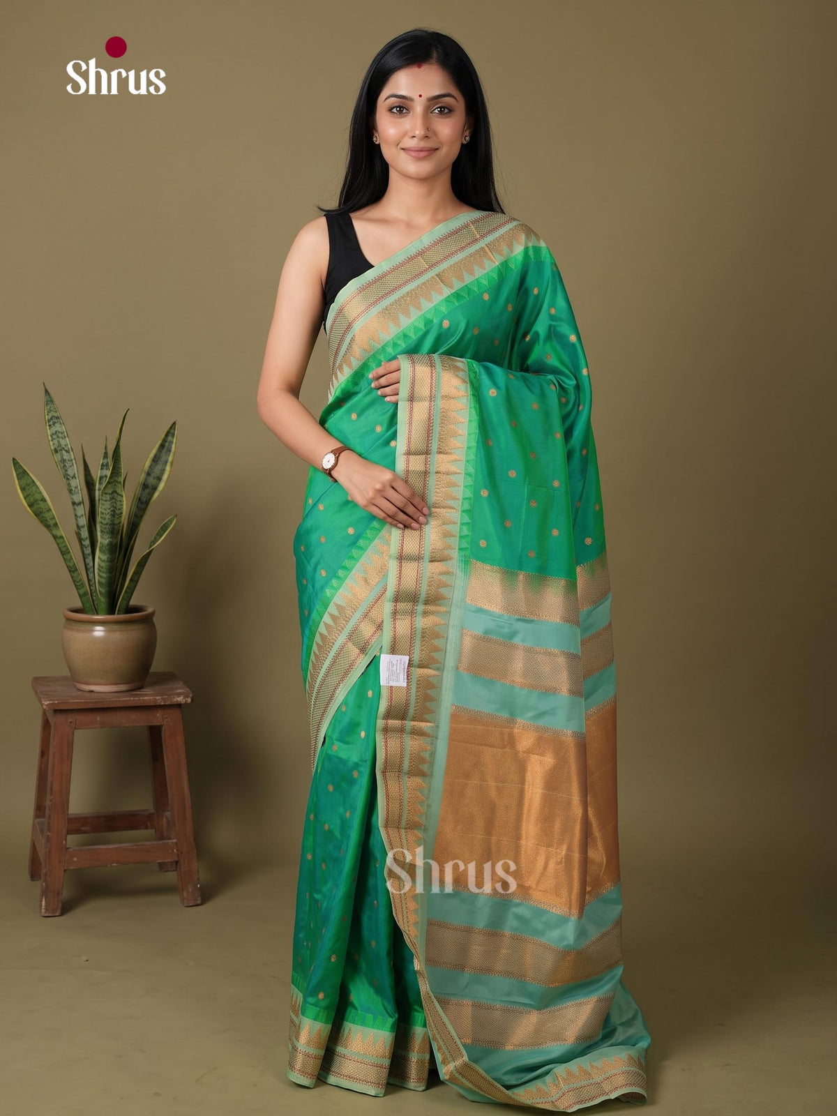 Semi Paithani Saree - EJ14138
