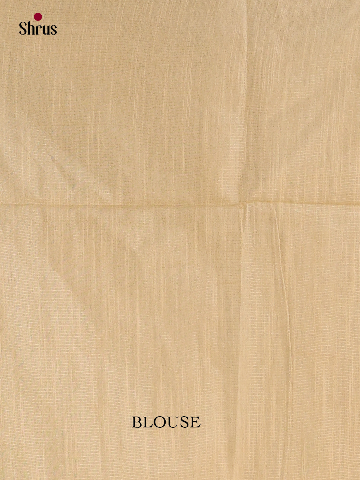 Zari Semi Tussar Saree - EJ14334