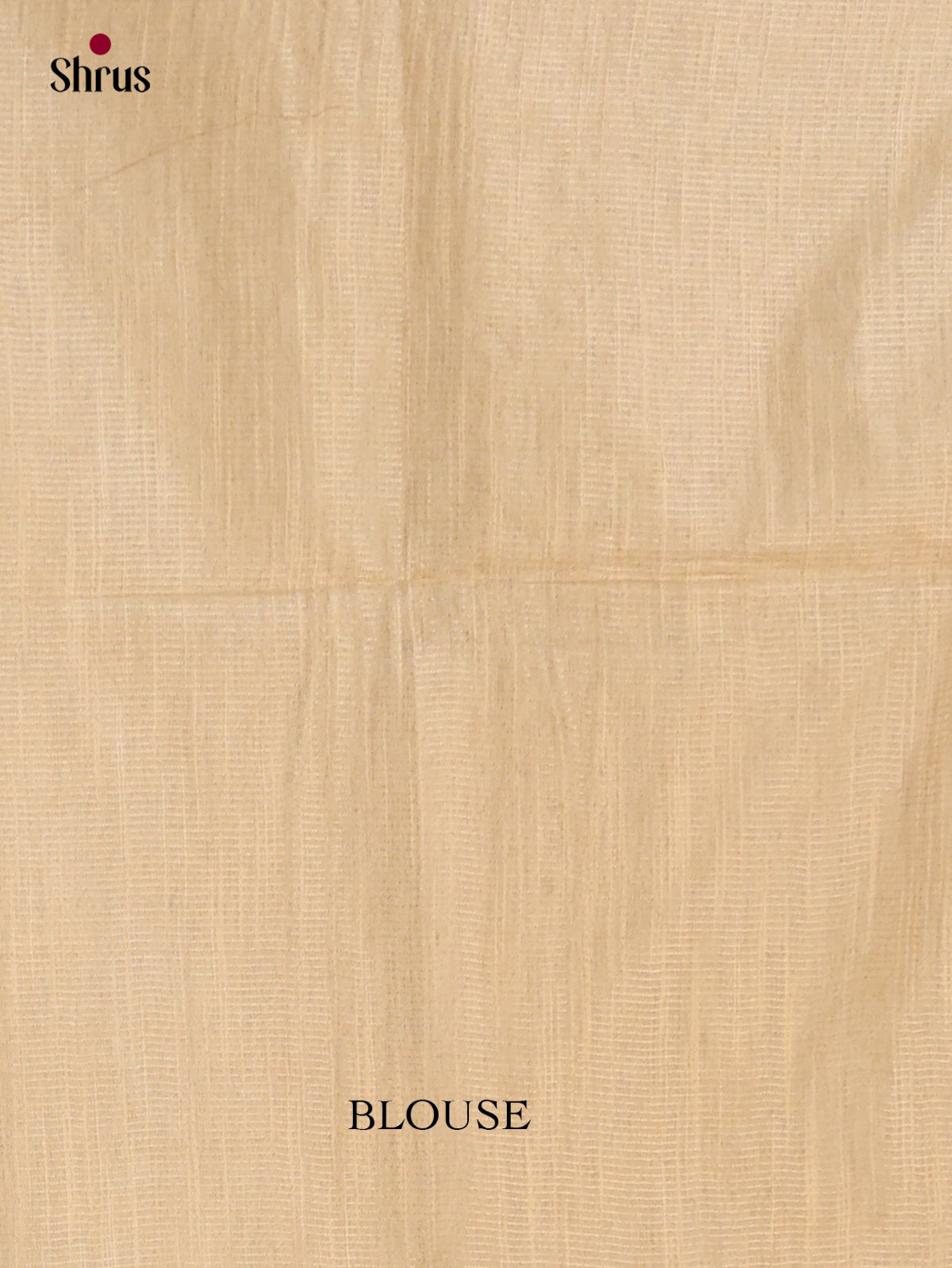 Zari Semi Tussar Saree - EJ14337