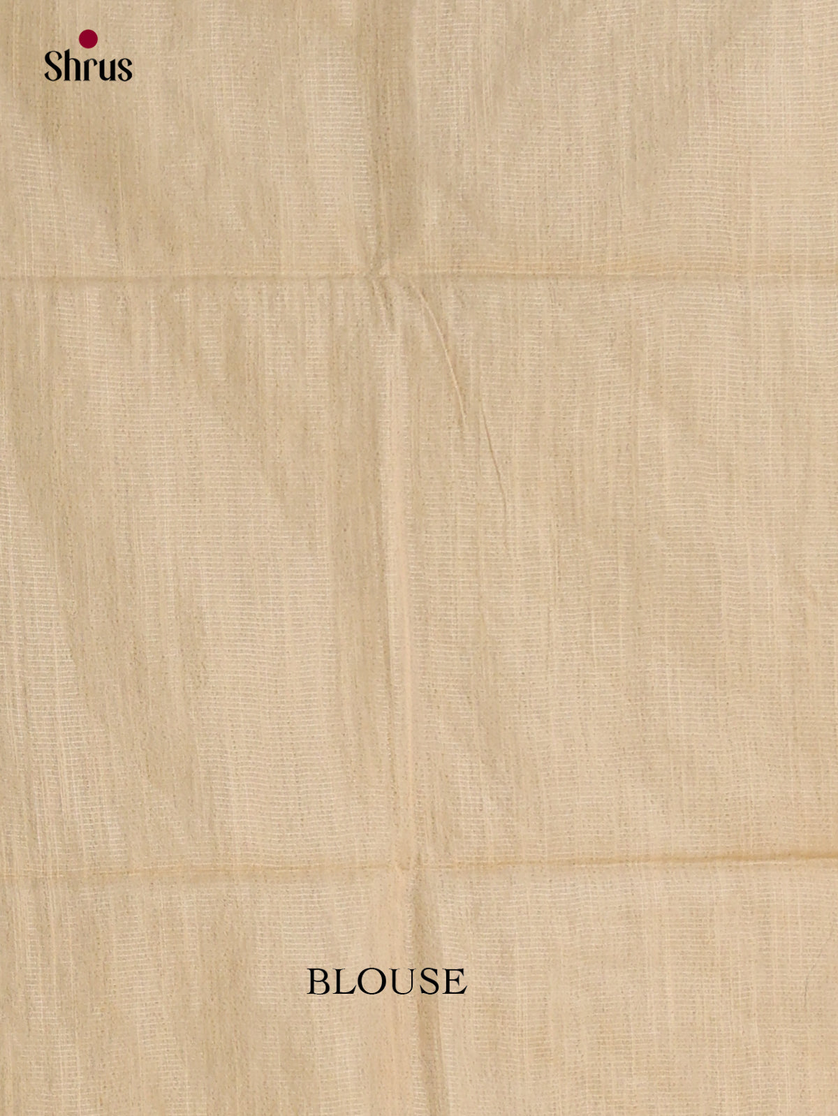 Zari Semi Tussar Saree - EJ14344