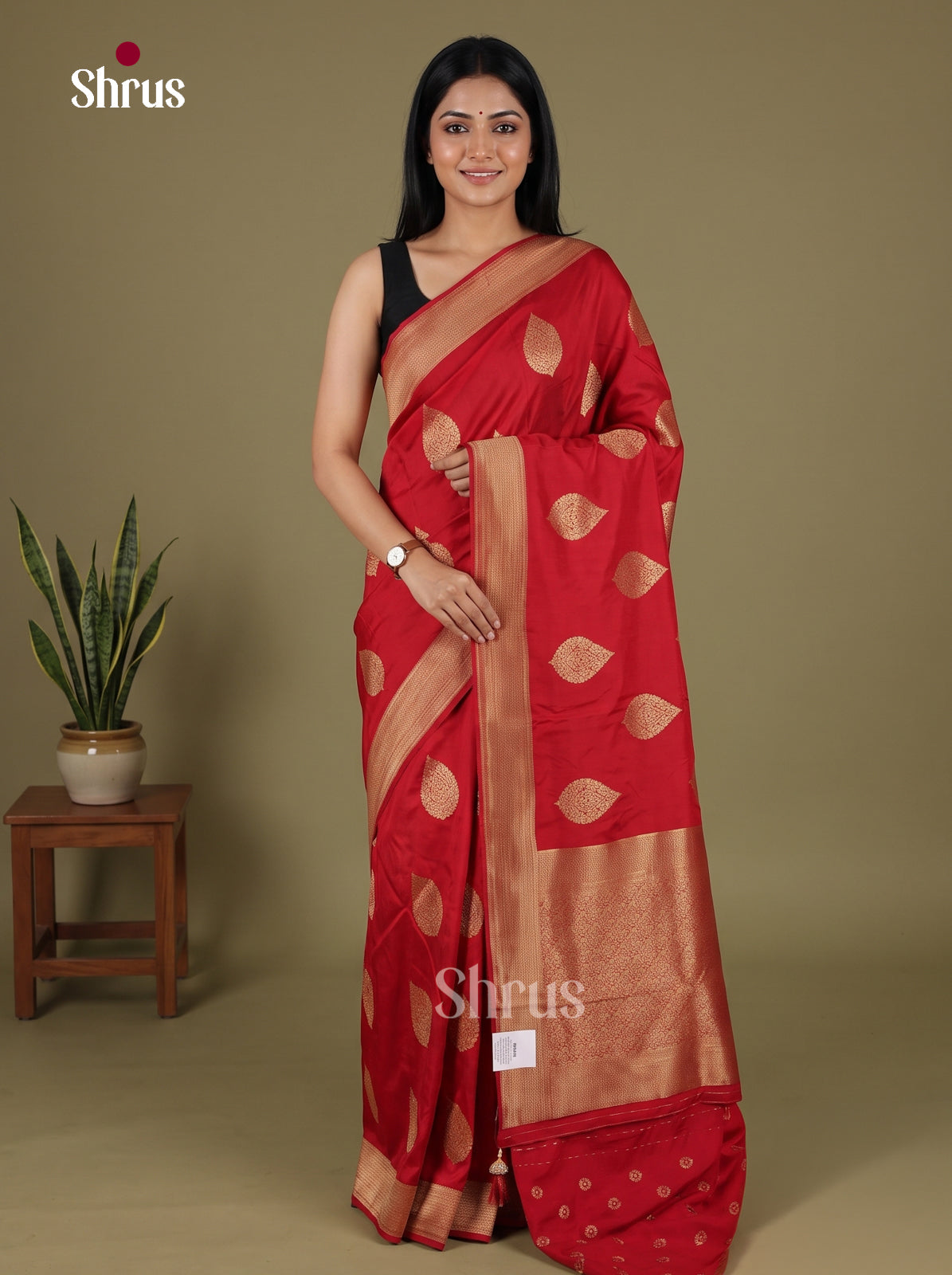 Banarasi Saree - EJ16012