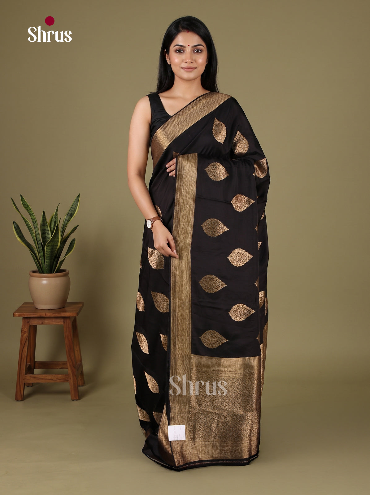 Banarasi Saree - EJ16013