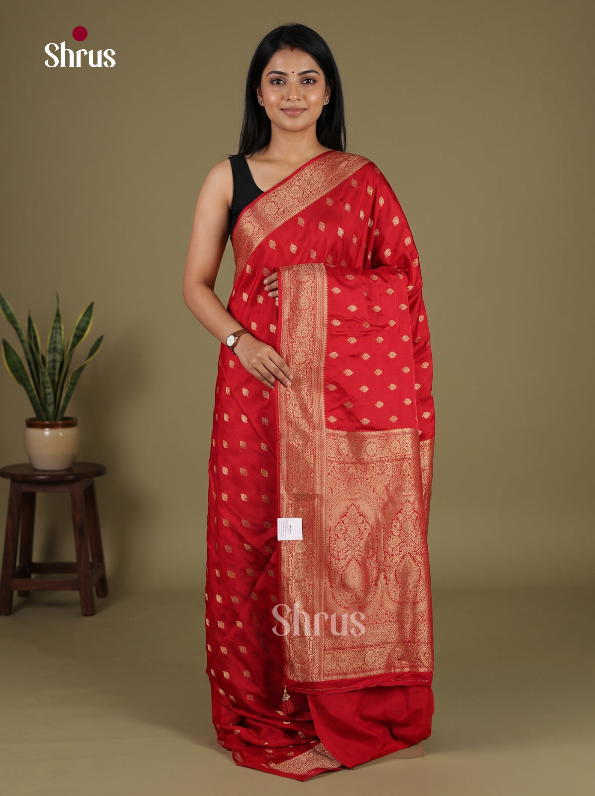 Banarasi Saree - EJ16015
