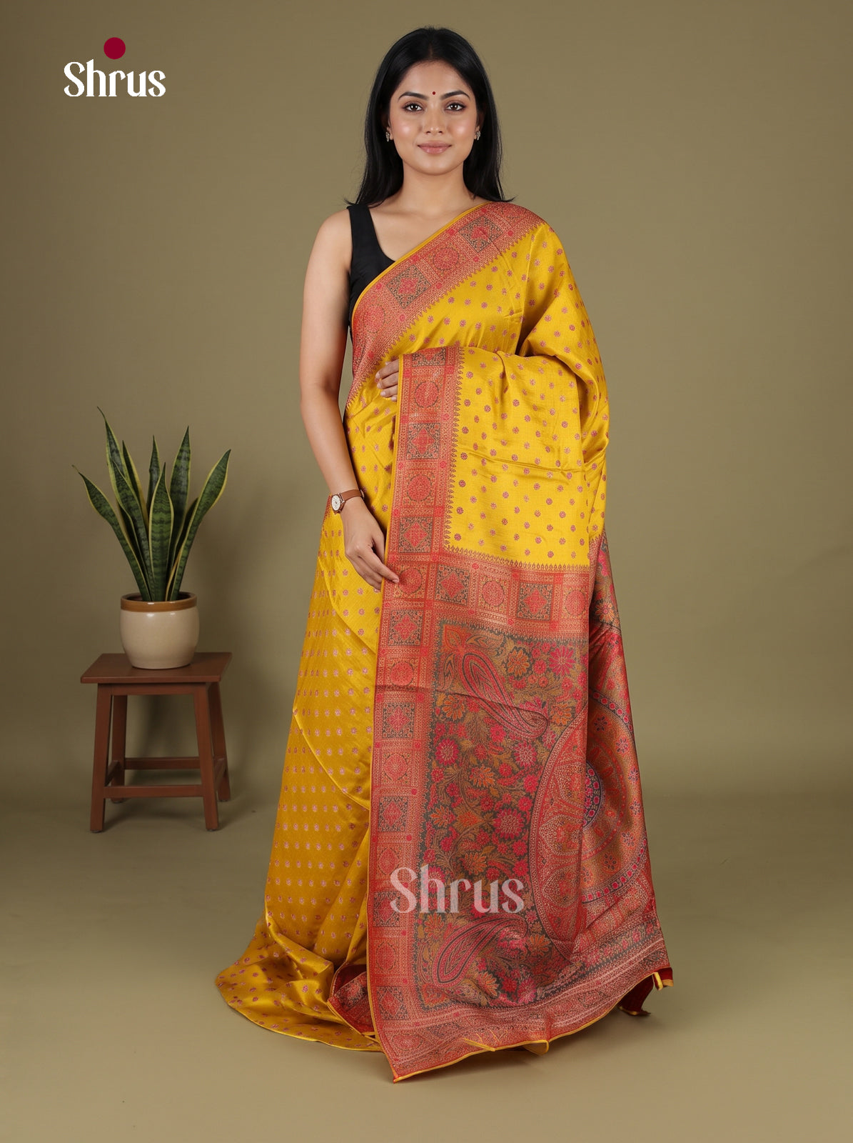 Banarasi Saree - EJ16020