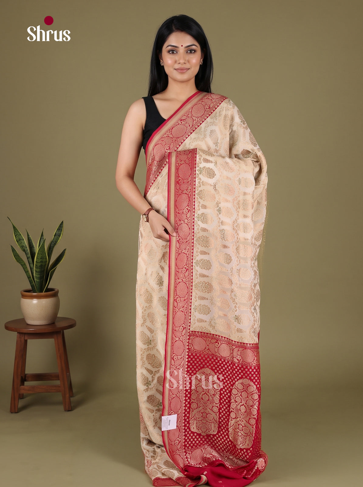 Banarasi Saree - EJ16023