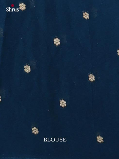 Banarasi Saree - EJ16024