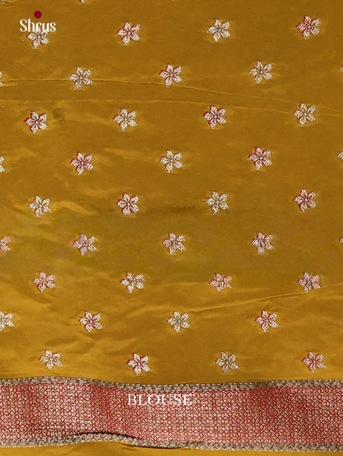 Banarasi Saree - EJ16027