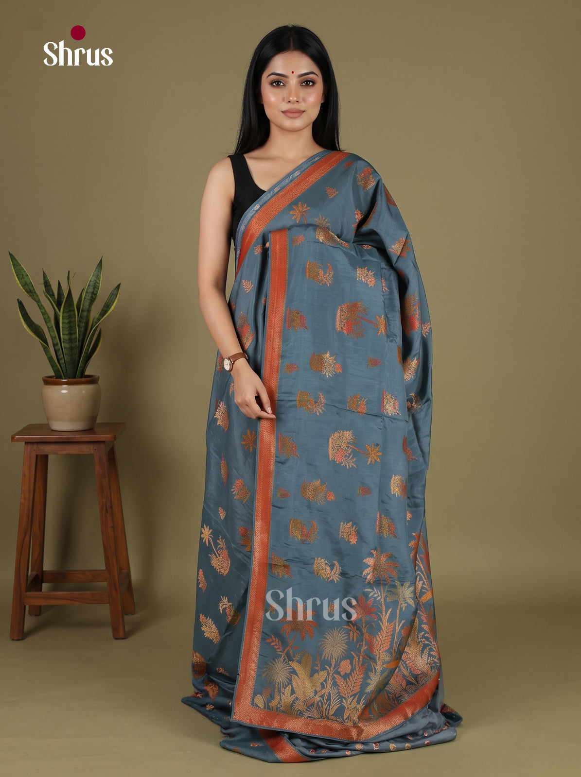 Banarasi Saree - EJ16029