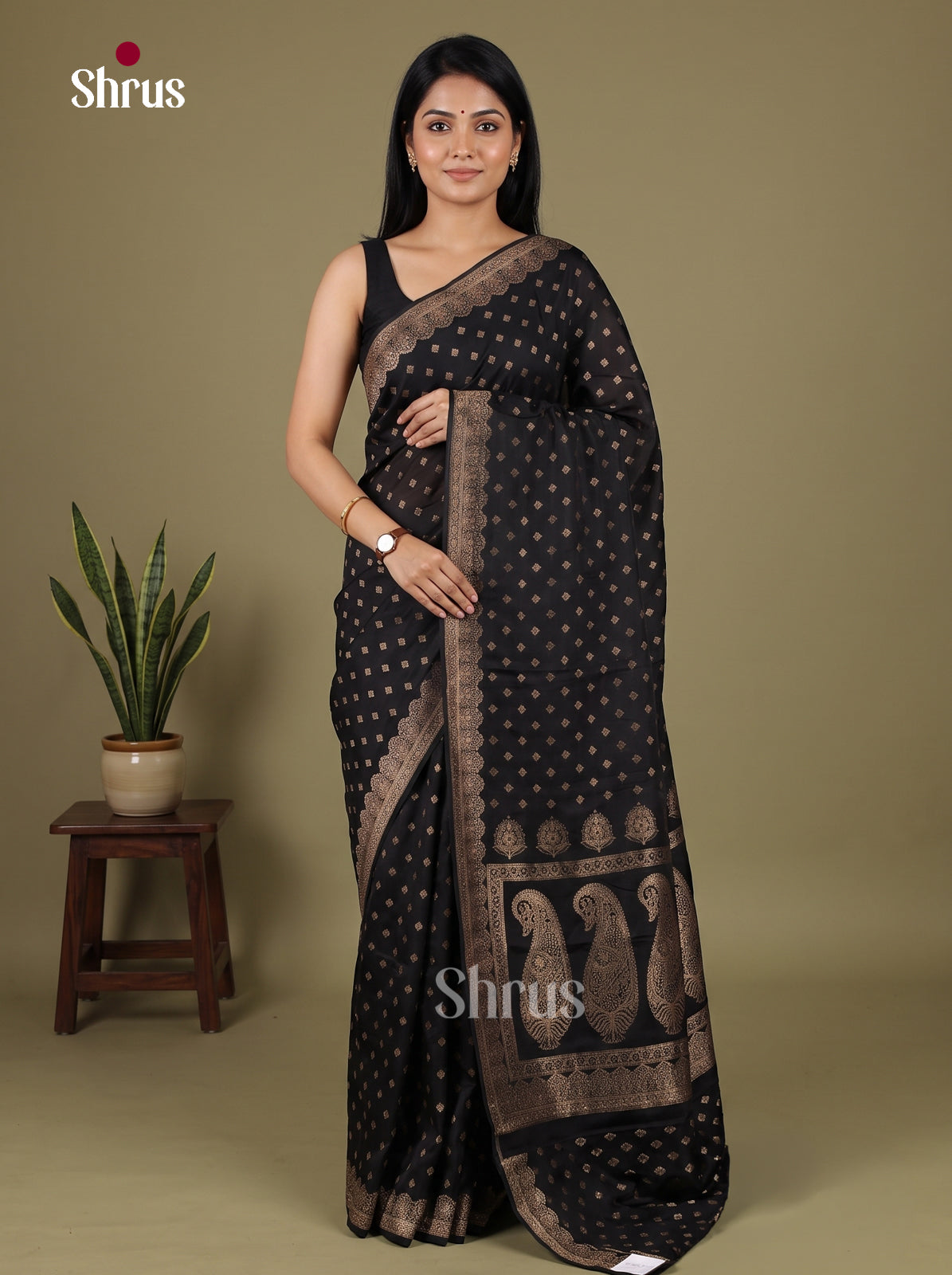 Banarasi Saree - EJ16033