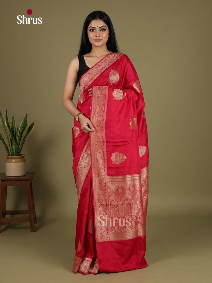 Banarasi Saree - EJ16163