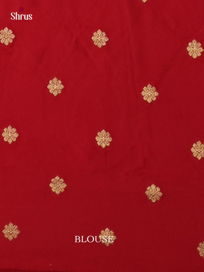 Banarasi Saree - EJ16166