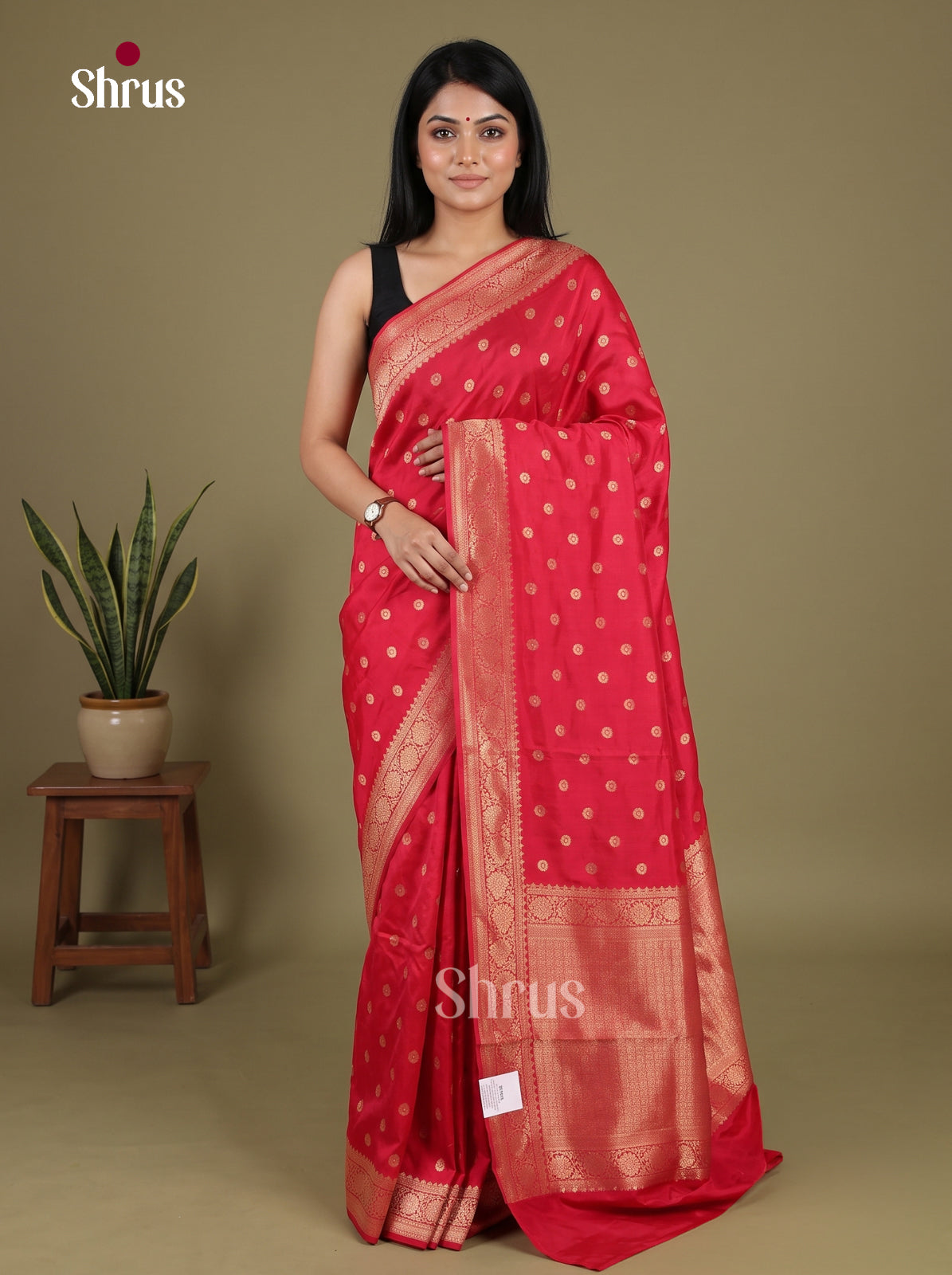 Banarasi Saree - EJ16168