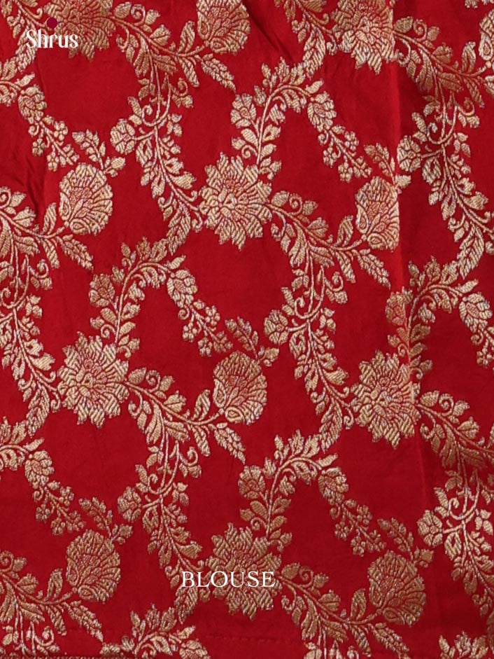Banarasi Saree - EJ16172