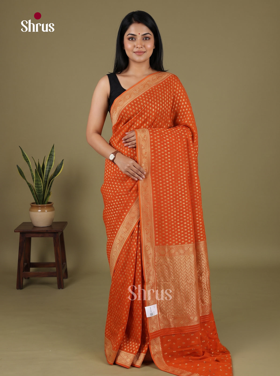 Banarasi Saree - EJ16178