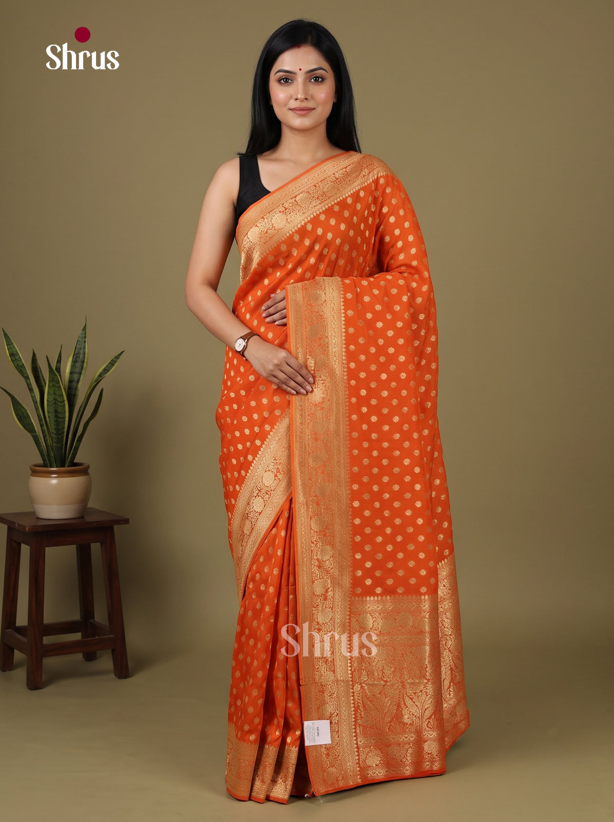 Banarasi Saree - EJ16179