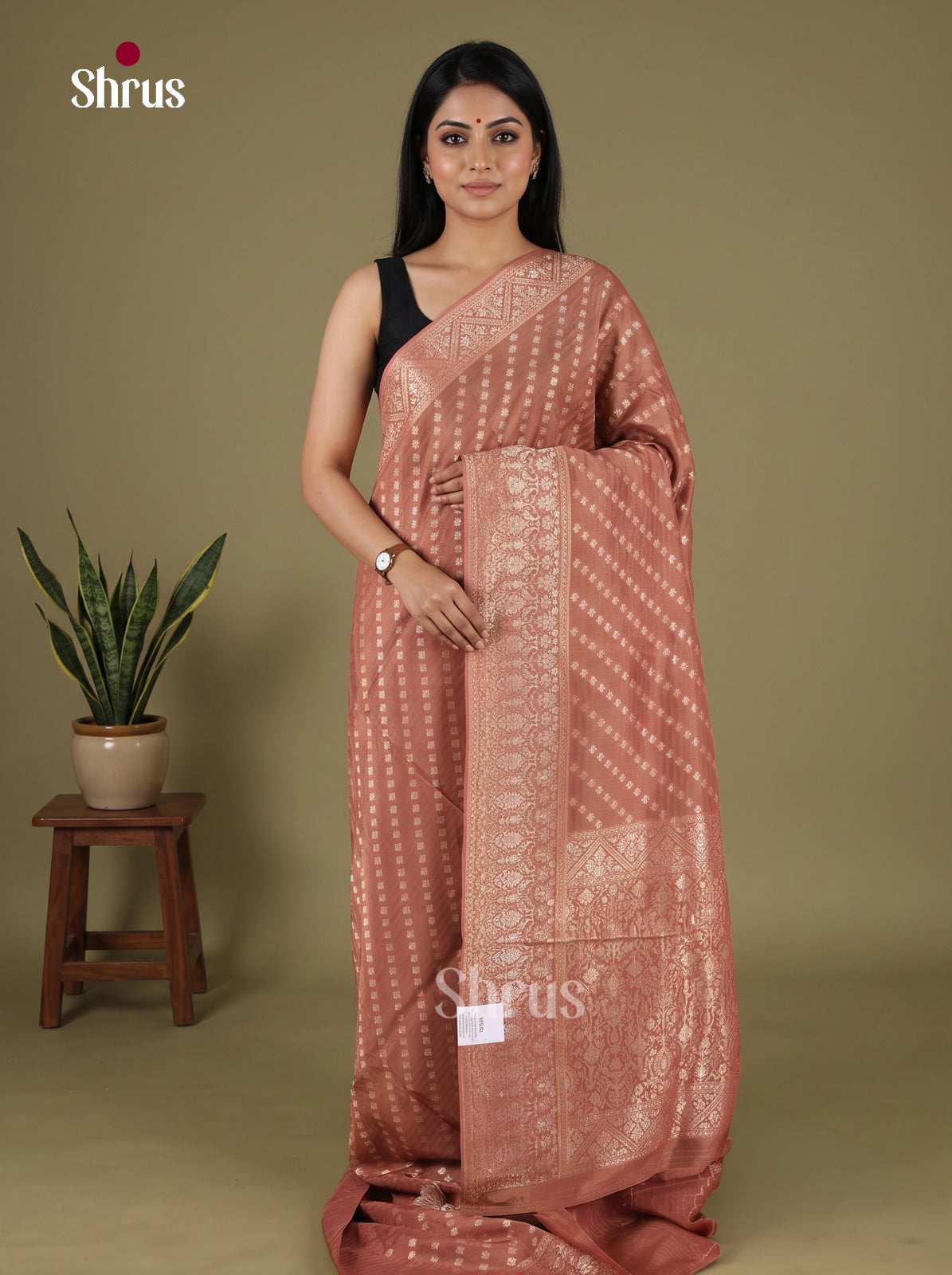 Banarasi Saree - EJ16188