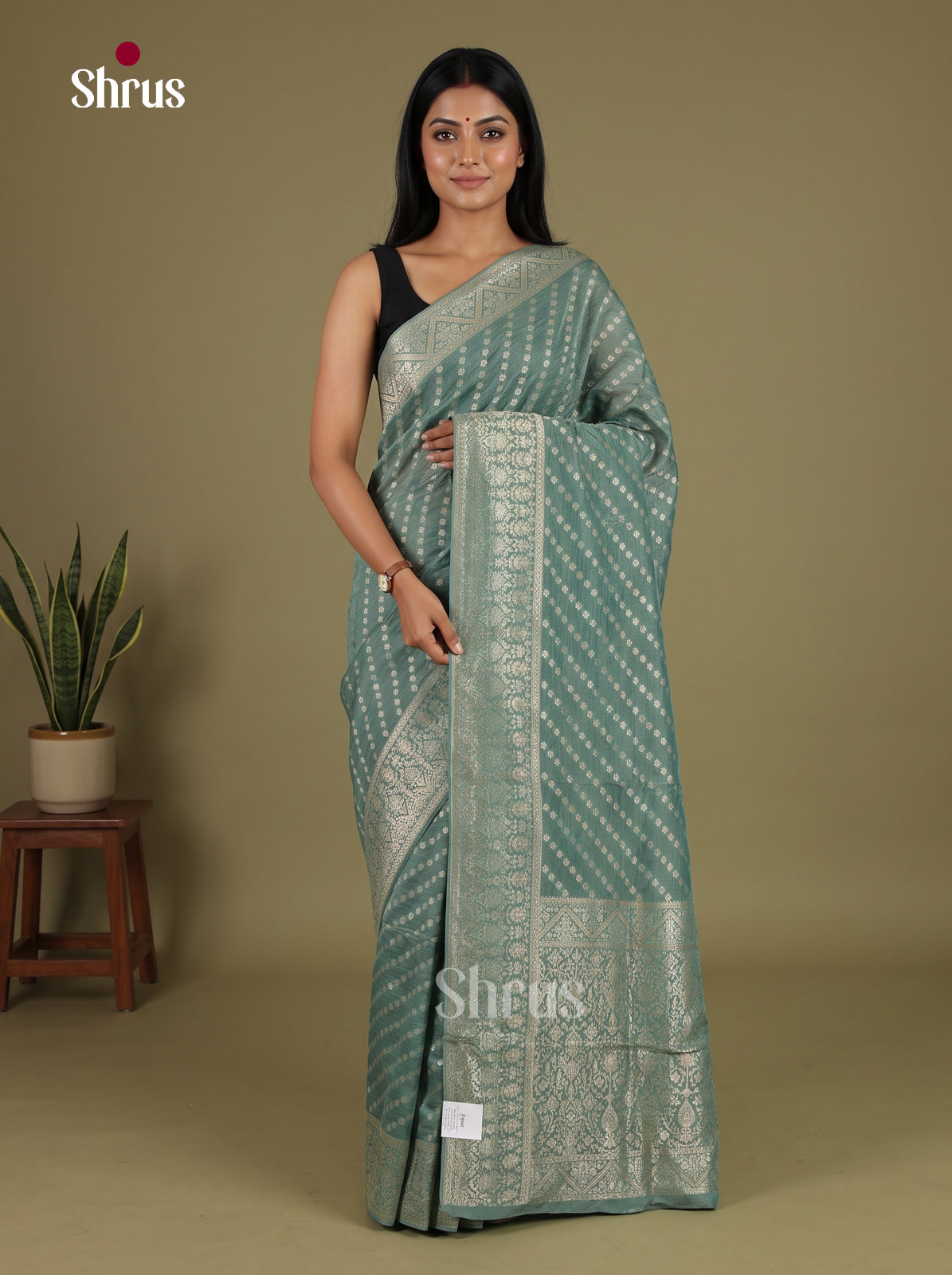 Banarasi Saree - EJ16189