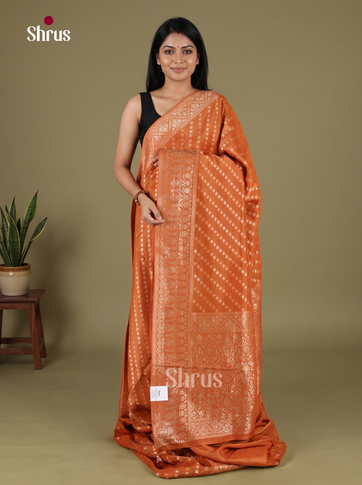 Banarasi Saree - EJ16192