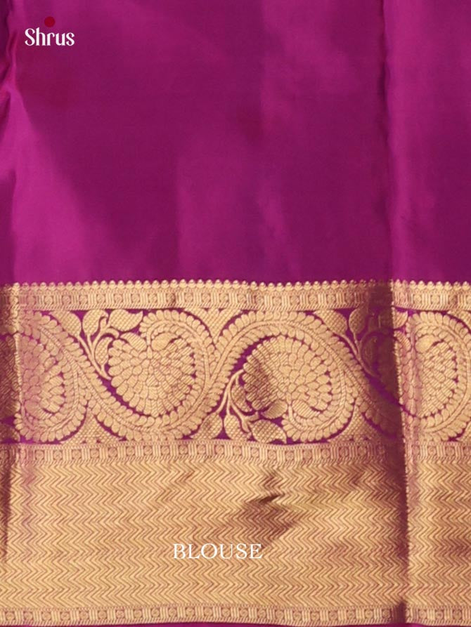 Kanchipuram-halfpure Saree - EJ17011