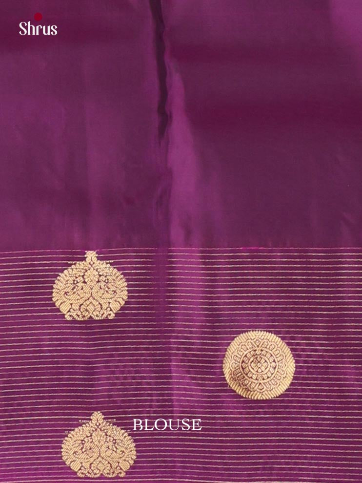 Kanchipuram-halfpure Saree - EJ17043