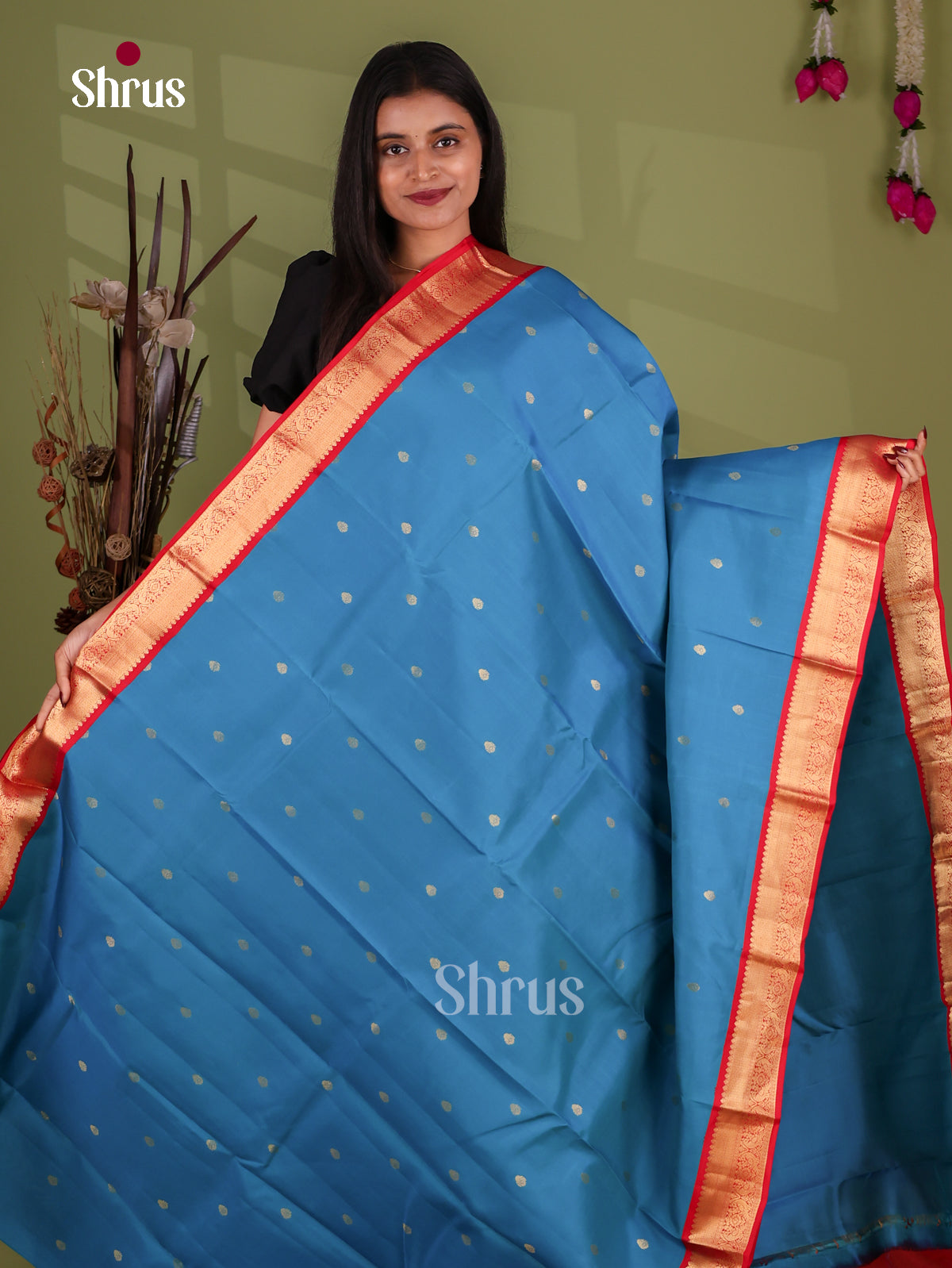 Kanchipuram-halfpure Saree - EJ17048